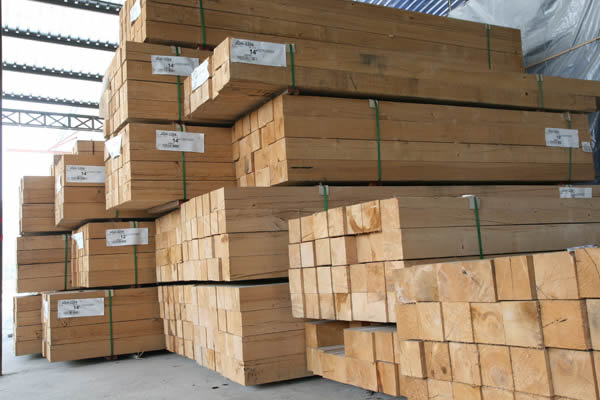 ���ô��Fɼ���