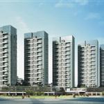 ����׿Խ�S��