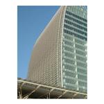 ��퓴����̈D