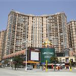 �x������鿻���