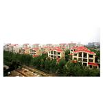 �Ϻ��𶼻��@