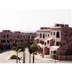 ��� ţ̶β��