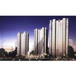 �Ϻ� ʢ�����