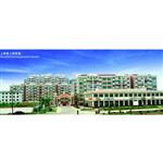 �Ϻ���������@