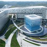 �ɶ����������(xi��ng)Ŀ