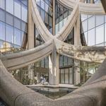 �ձ��|���鲼�_(t��i)֮��