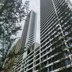 �����������И�