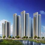 ���x��·�Ž�ɽ����